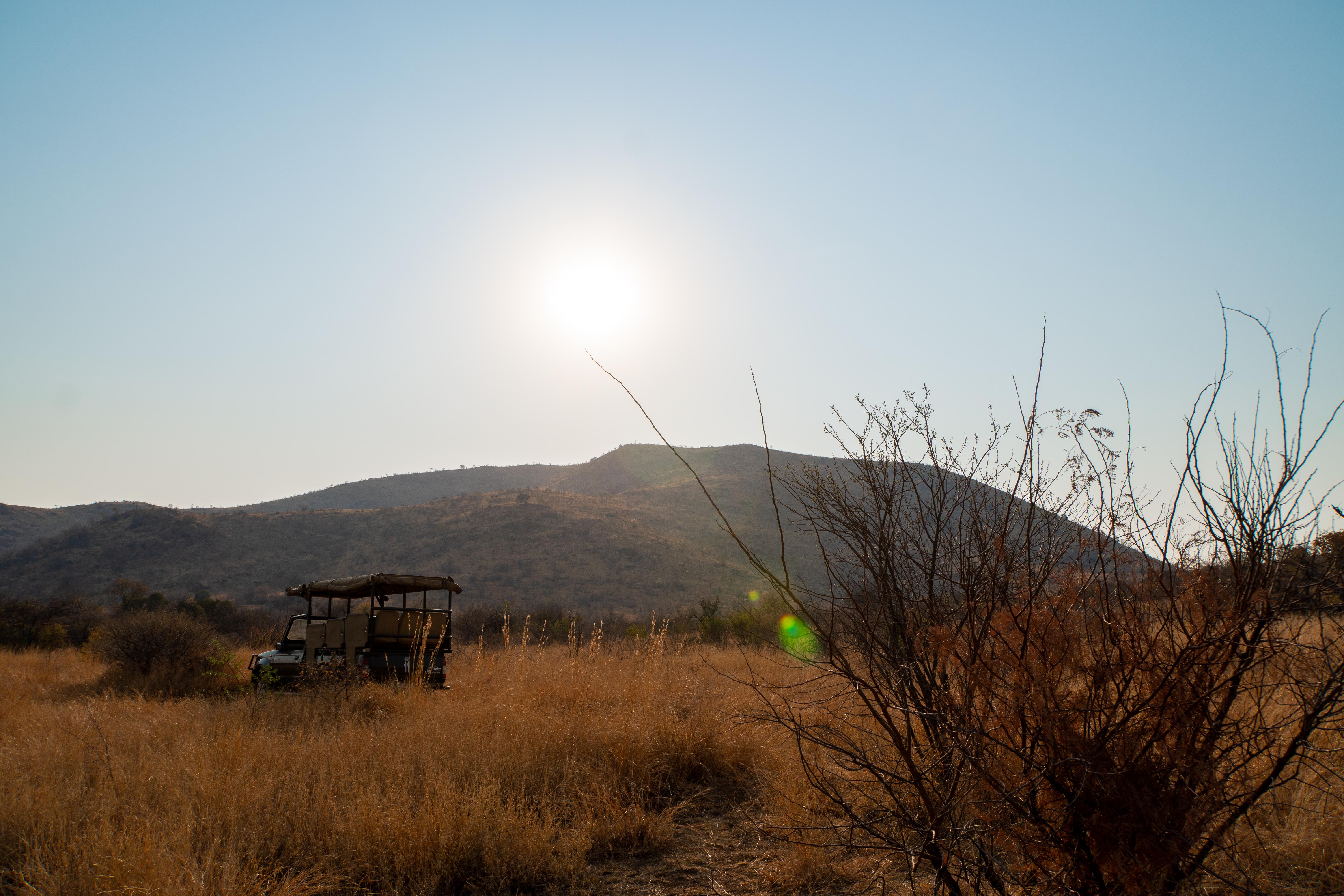 Bakubung Bush Lodge Ledig Exteriér fotografie